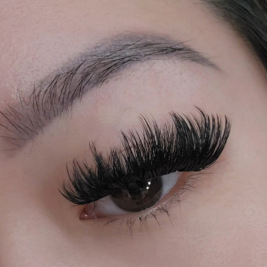 Wispy Volume Lash clusters